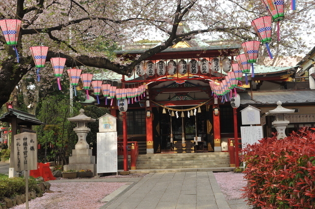 居木神社の画像