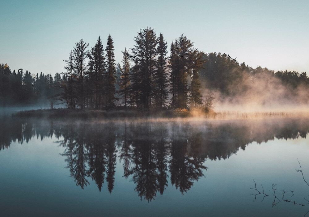 湖と森