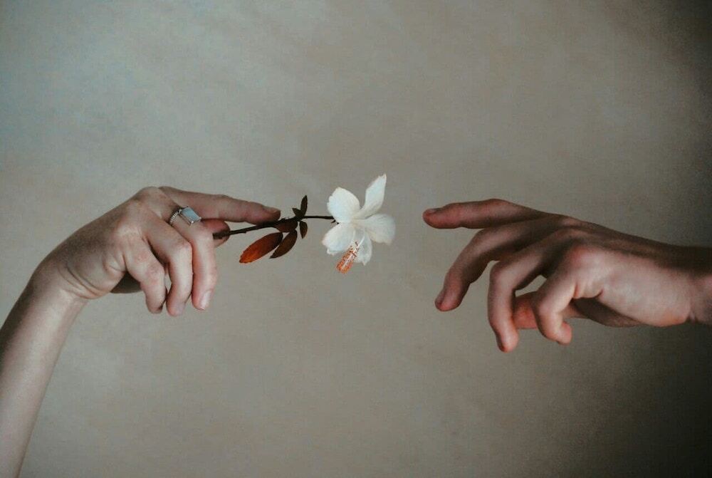 花と二人の手の画像