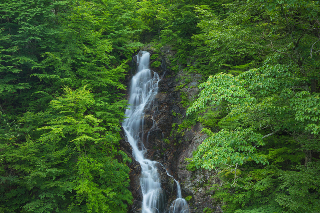 三頭大滝