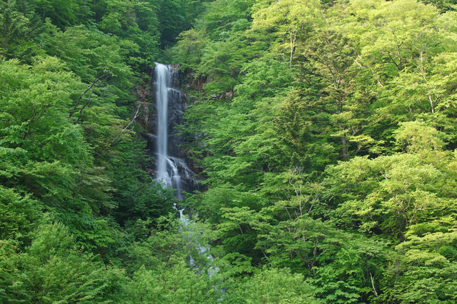 蛇王の滝