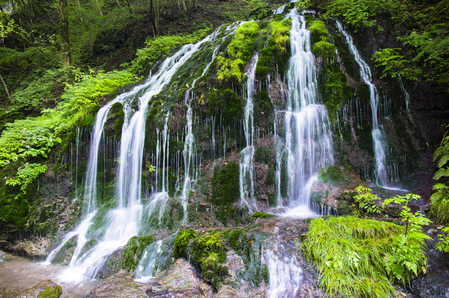 白水の滝