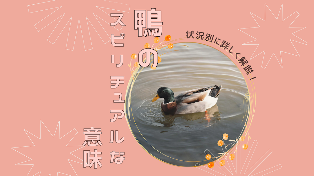 鴨のスピリチュアルな意味8選[状況別]サムネイル画像