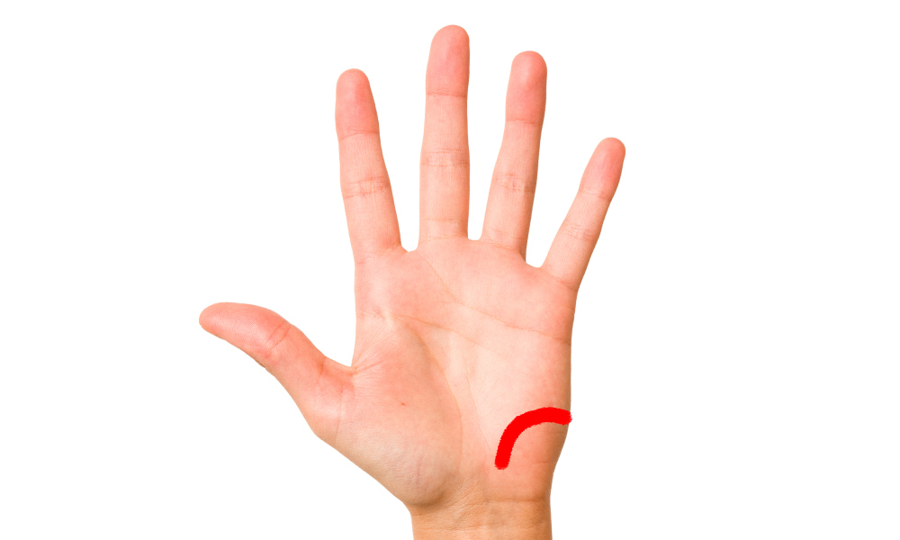 ビア・ラシビア