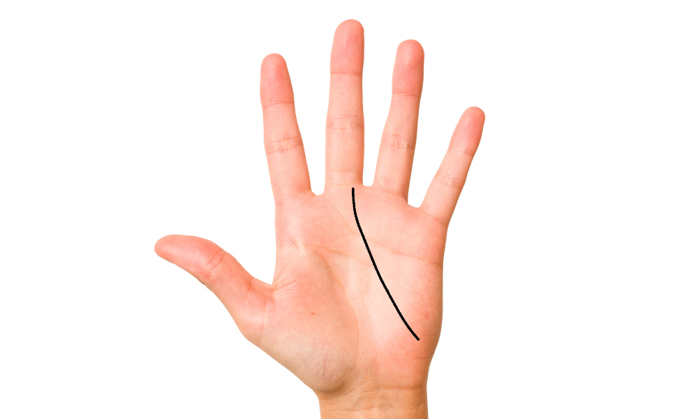 月丘からカーブする運命線の手相