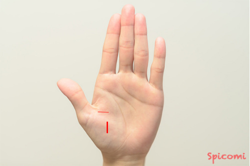 ［手相占い］親指の付け根の領域に縦線や横線のすじがある手相の意味