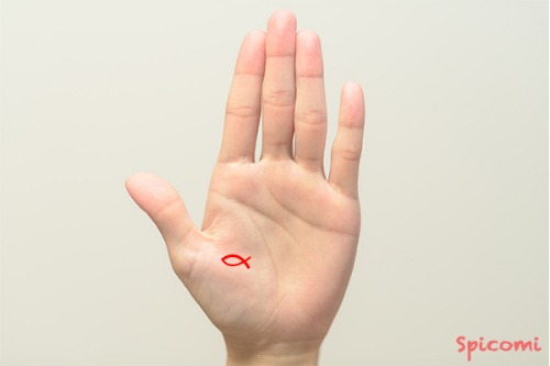 ［手相占い］親指の付け根の領域にフィッシュがある手相の意味