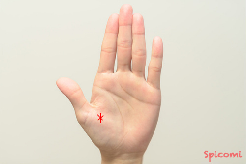 ［手相占い］親指の付け根の領域にスター線がある手相の意味