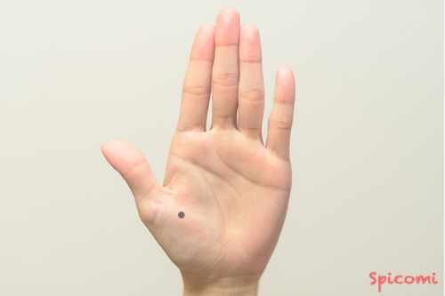 ［手相占い］親指の付け根の領域にホクロがある手相の意味