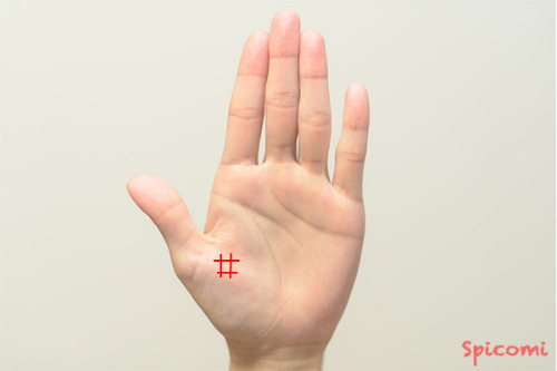 ［手相占い］親指の付け根の領域に四角紋がある手相の意味