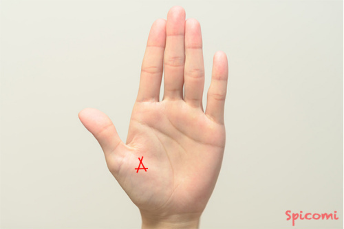 ［手相占い］親指の付け根の領域に三角紋がある手相の意味