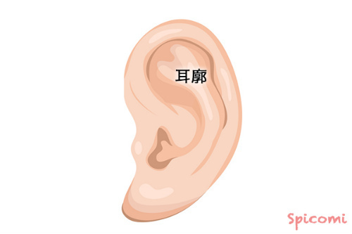耳廓（耳郭：ジカク）にあるほくろの意味と運勢