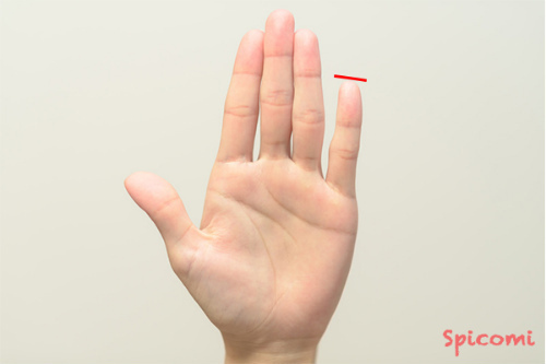 ［手相占い］小指の長さが長い手相の意味