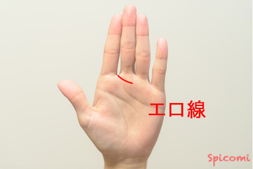 ［手相占い］エロ線が人差し指と中指の間から伸びて半分だけ現れている
