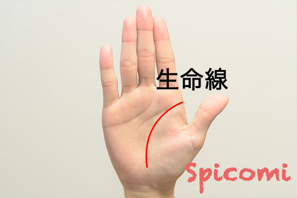 手のひらのほくろ占いの意味と運勢30個 右手左手で違う Spicomi
