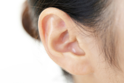 女性の耳の形と性格