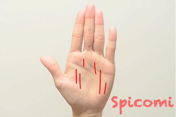 手相で手のひらの縦線の意味21選 親指 中指 薬指 小指 左手右手 Spicomi