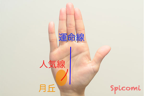 ［手相占い］人気線（寵愛線）
