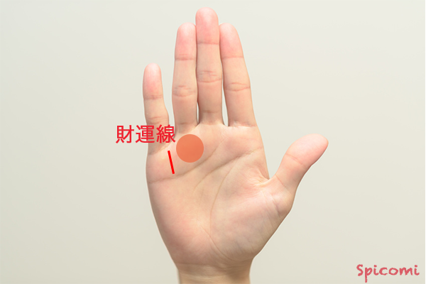 ［手相占い］太陽丘寄りにある財運線