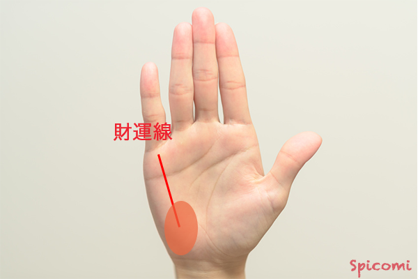 ［手相占い］月丘から真っ直ぐ伸びる財運線