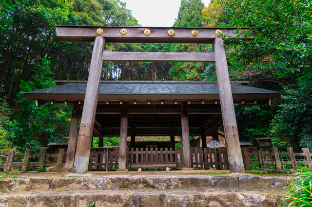 日向