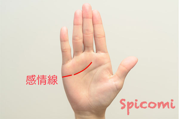［手相占い］線の途中が切れている感情線
