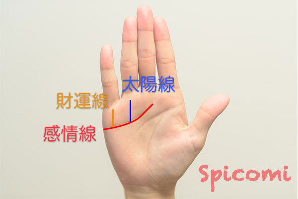 ［手相占い］感情線の上に縦線がある場合
