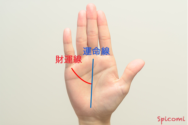 ［手相占い］運命線から伸びる財運線