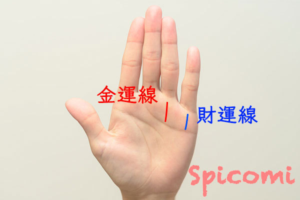 金運線の意味とは？財運線との違い