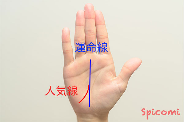 ［手相占い］運命線に届くほど長い人気線（寵愛線）