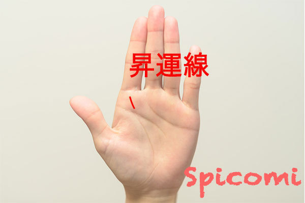 昇運線の意味と見方
