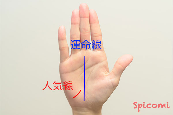 ［手相占い］運命線に届かない短い人気線（寵愛線）