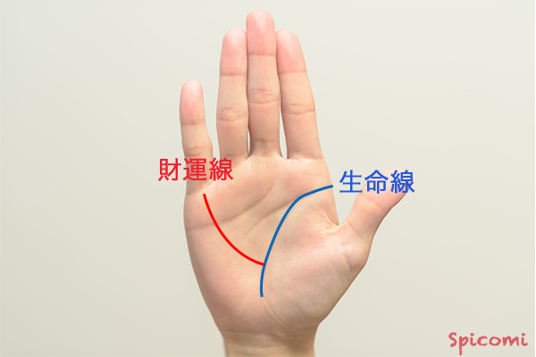 ［手相占い］財運線が長い