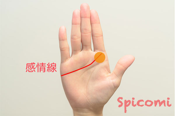 ［手相占い］終点が木星丘を突き抜けている長い感情線