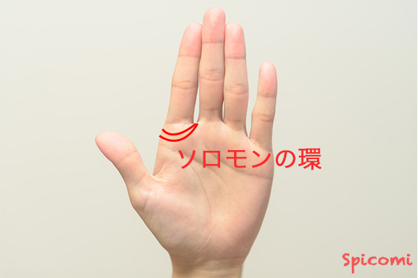 ［手相占い］ソロモンの環が二重