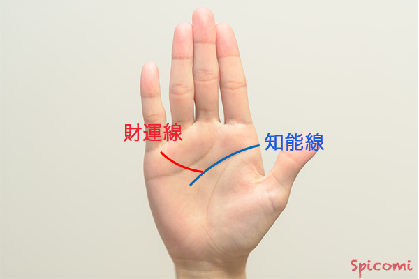 ［手相占い］知能線から伸びる財運線