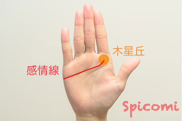 ［手相占い］木星丘の真ん中まで伸びている長めの感情線