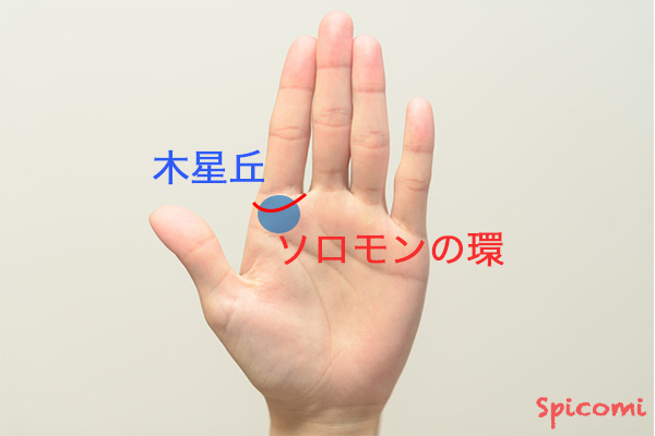 ［手相占い］ソロモンの環と木星丘の張りがある