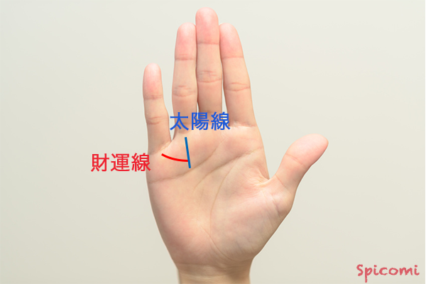［手相占い］財運線が短い