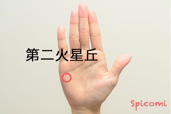［ほくろ占い］第二火星丘にあるほくろの意味と運勢