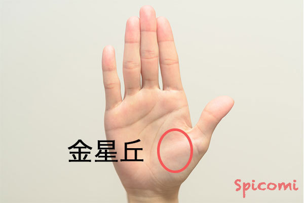 ［ほくろ占い］金星丘にあるほくろの意味と運勢
