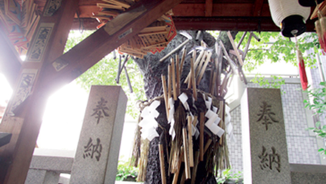 円珠庵（鎌八幡）［縁切り神社］