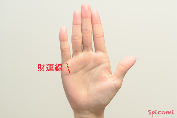 ［手相占い］途切れ途切れの財運線