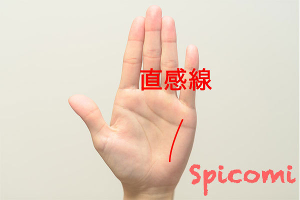 手相占いの直感線