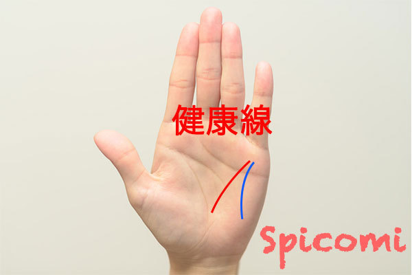 直感線と健康線の違いと関係