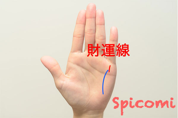 直感線と財運線の違いと関係