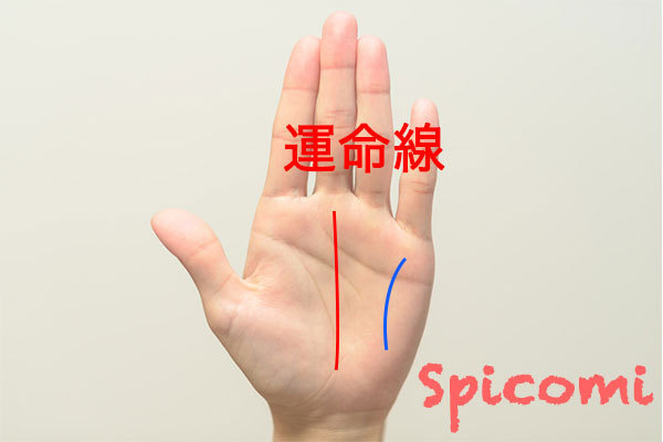 直感線と運命線の違いと関係