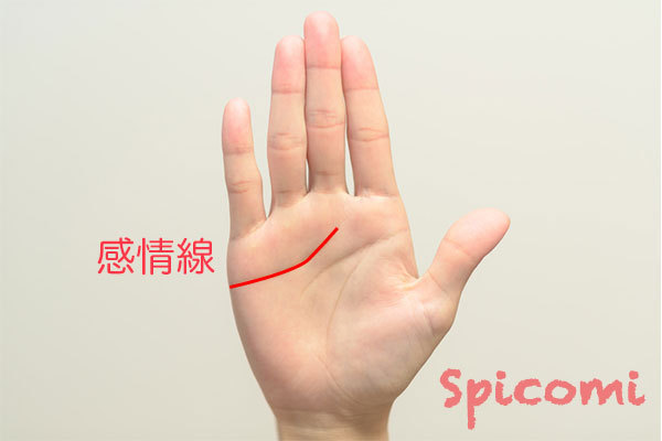 ［手相占い］感情線