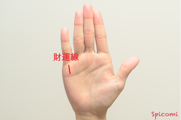 ［手相占い］財運線