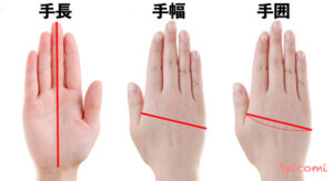 手が大きい女性の性格の特徴15個！基準や骨格・人相占い – Spicomi